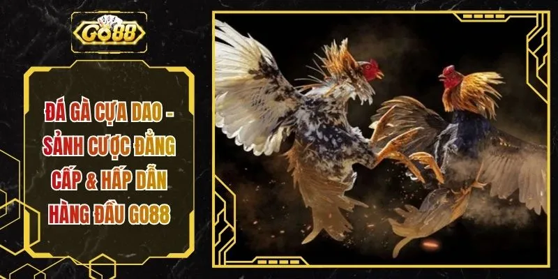 Đá Gà Cựa Dao - Sảnh Cược Đẳng Cấp & Hấp Dẫn Hàng Đầu GO88