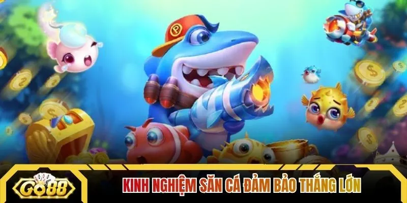 Kinh nghiệm săn cá đảm bảo thắng lớn
